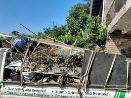 Shed Removal in Loyola, CA