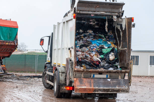 Same-Day Junk Removal Services in Loyola, CA